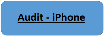 Rounded Rectangle: Audit - iPhone